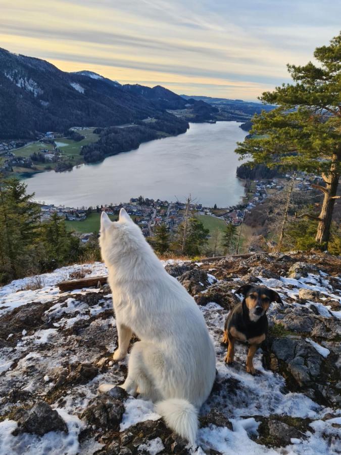 Ferienhaus Gerlach Hintersee Eksteriør billede